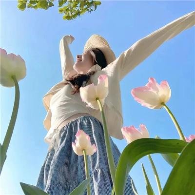 星际旅行:进取号 第二季